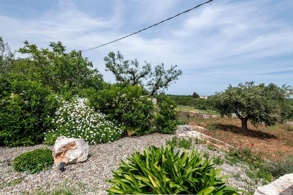 Willa Trullo Oasi Santo Stefano - Private Pool Castellana Grotte Zewnętrze zdjęcie